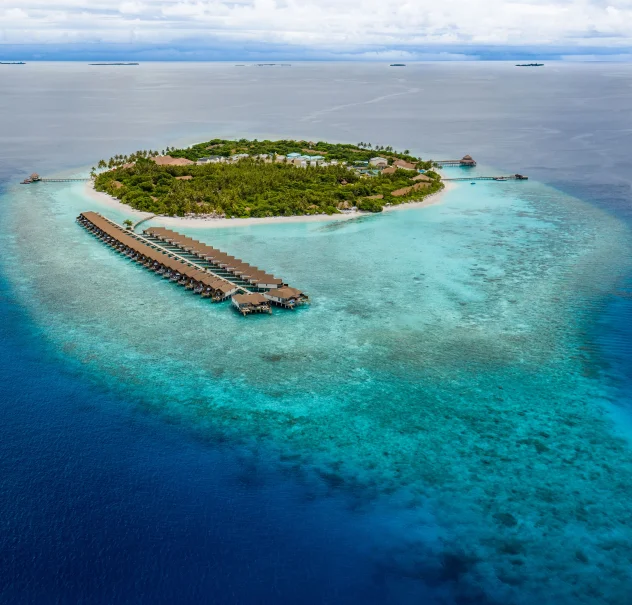 Diving with Pelagics in the Nutrient-Rich Waters of Castle Rock